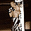 Jeff Hatton